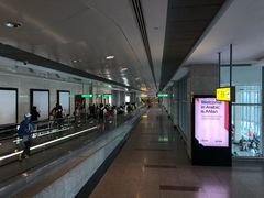 -开罗国际机场