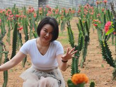 -松山湖梦幻百花洲