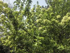 -白塘生态植物园