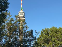 -维也纳国际机场