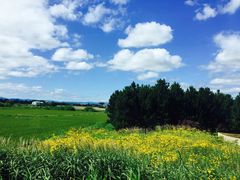 -富田农场
