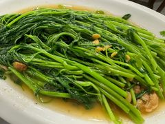 青菜-长平肥姐白粥·海鲜打冷