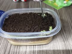 -纯坊佳哥手作(江汉路店)