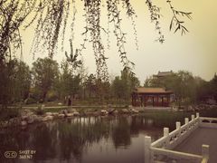 -武清南湖绿博园