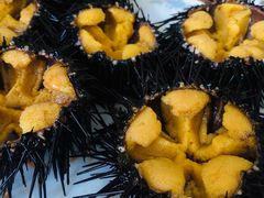 -海胆小馆(东北水饺·春柳店)