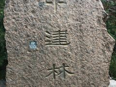 -北京鹫峰国家森林公园