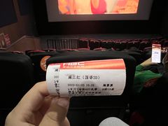 -华谊兄弟影院(IMAX洋桥店)