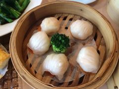 iphone_upload_pic-金苑海鲜酒家(来魅力店)