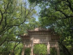 -灵岩山风景区