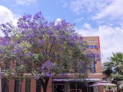 -福州大学(旗山校区)