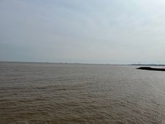 -碧海金沙