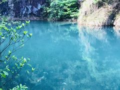 -大奇山国家森林公园