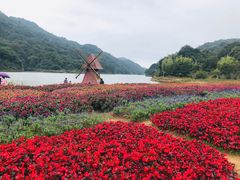-广州市石门国家森林公园