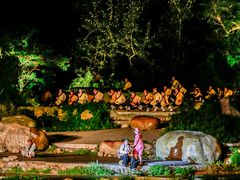 -禅宗少林·音乐大典