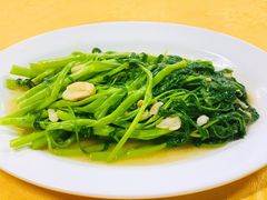 -老明馨潮汕大排档