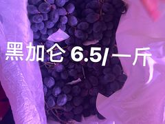 -双福水果批发市场