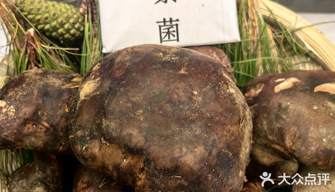 又称为蘑菇或蕈，是一类生长在树丛或草丛中的大型真菌