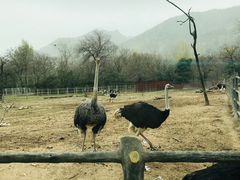 -西安秦岭野生动物园