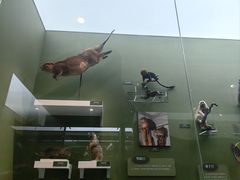 -国家自然博物馆