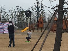 -上海长兴岛郊野公园