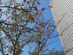 -无锡新湖铂尔曼大酒店