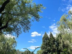 -元大都城垣遗址公园