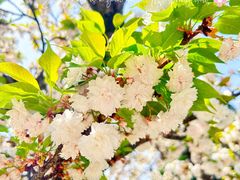 -江南大学(蠡湖校区)