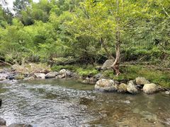 -石台牯牛降景区