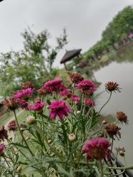 -太湖雪蚕桑文化园