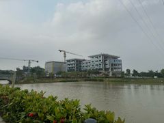-长洲岛