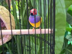 -万达广场(龙湖店)