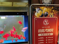 -臻享养生·SPA·影院式足道(汇臻店)