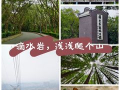 -滴水岩森林公园