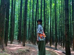 -山王坪喀斯特国家生态公园