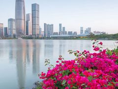 -深圳人才公园