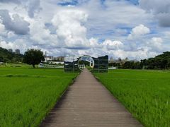 -风云岭森林公园