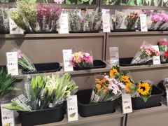 -鹿岛生活(熙地港店)