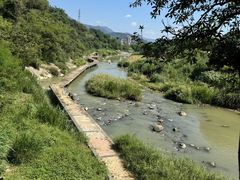 -卿园芳远·正宗石鼓白鸭汤