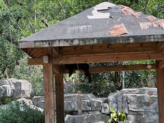 -黔灵山公园