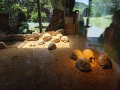 -宁波野生动物园