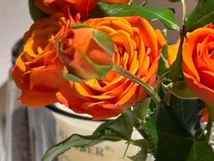 -俏贝拉(裕后街店)