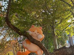 -西安电影制片厂