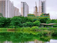 -福田红树林生态公园