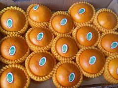 -上海龙吴水胜海发市场