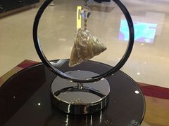 -上海龙之梦万丽酒店