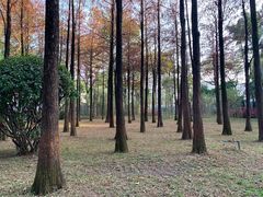 -晓港公园
