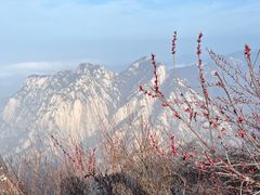 -华山风景名胜区