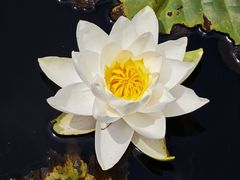 -沈阳植物园