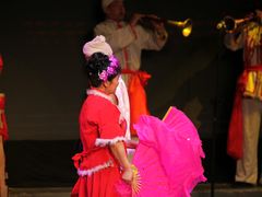 -陕北民歌大舞台