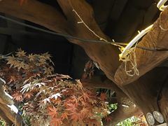 -城墙拐拐火锅(三峡广场黑金冠店)